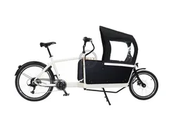  Front Loading Folding Electric Cargo Bike 2 Wheel Cargo Bike With Metal Box For Family