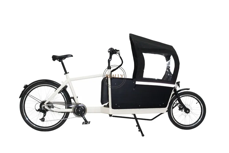  Front Loading Folding Electric Cargo Bike 2 Wheel Cargo Bike With Metal Box For Family