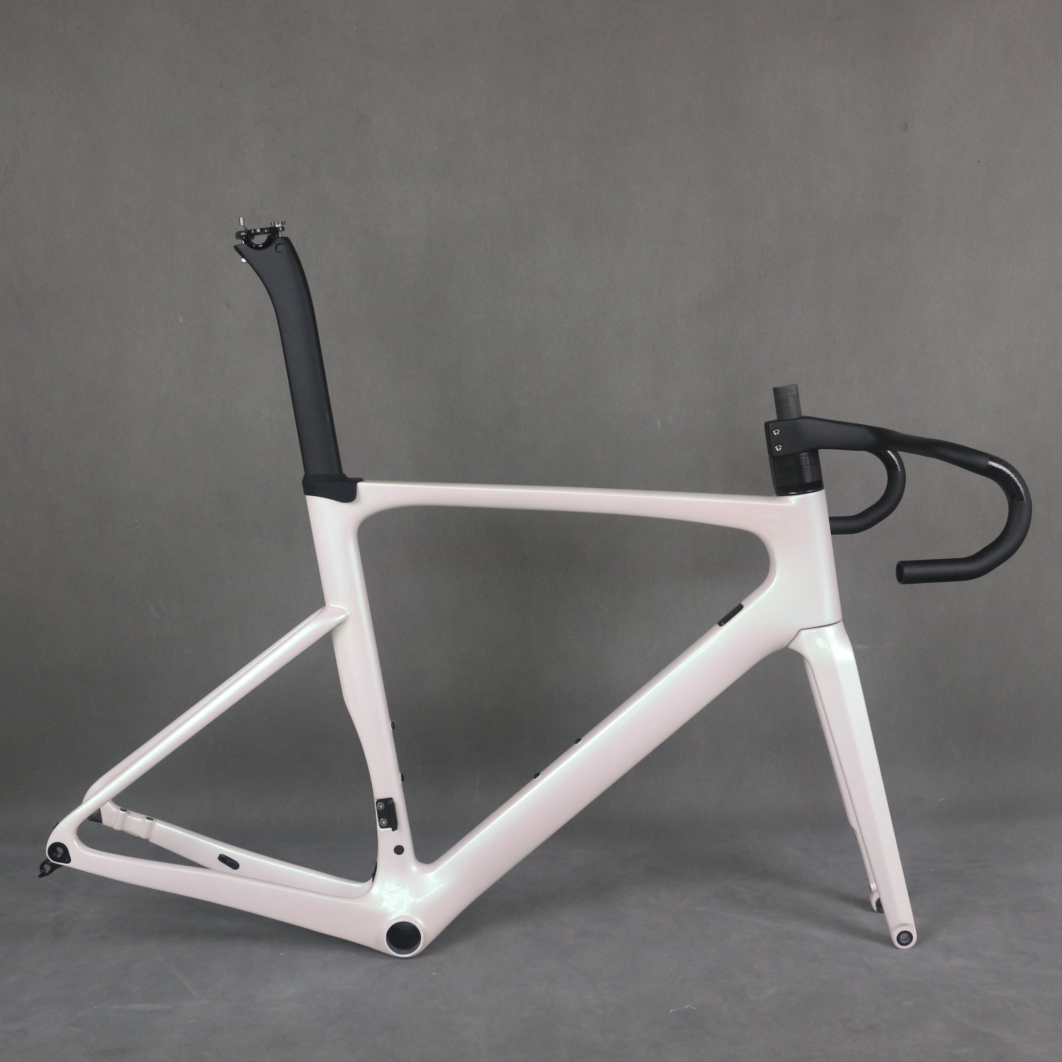 chameleon white