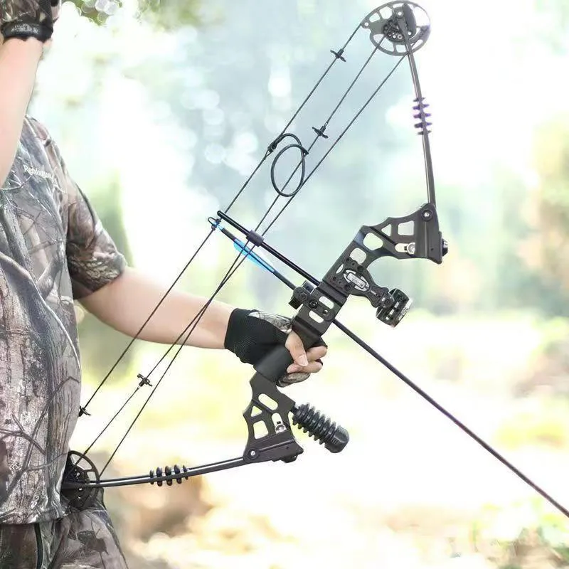 

2025 Professional Shooting Compound Bow, Steel Ball and Arrow Branch, Outdoor Camping and Hunting, 30-70lb, New