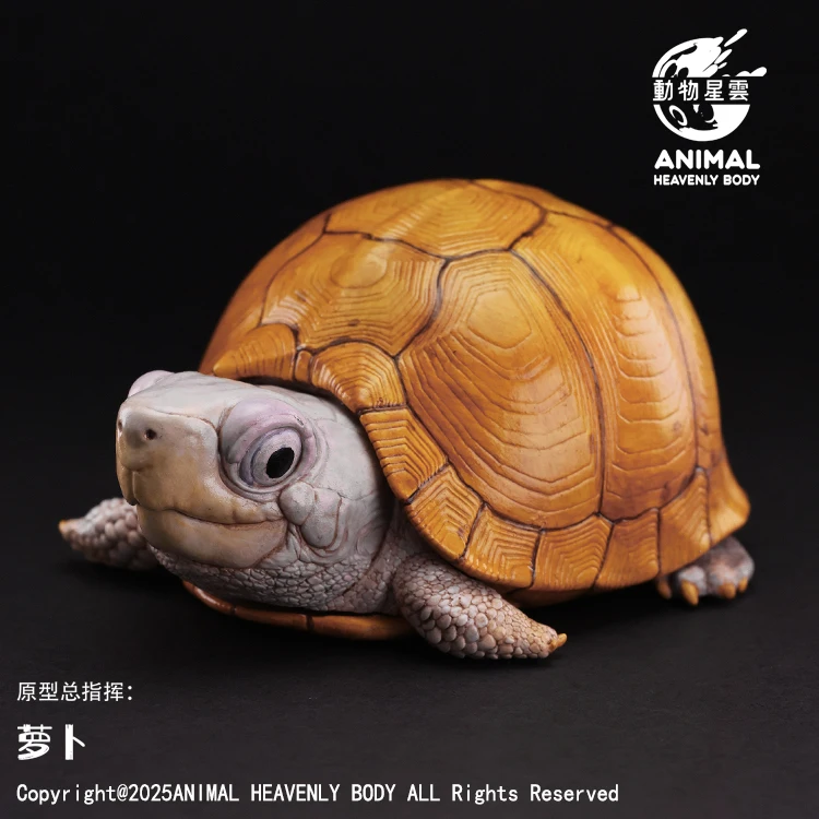 アニマル・ネビュラ・コレクティブル・ボックス・タートル・セット - シリーズ25 詳細な東部・斑点のあるカメのフィギュア
