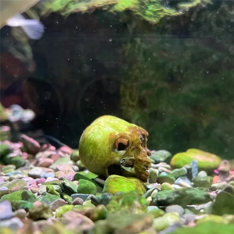 X18A-Figurines 1:12 Schaal Miniatuur Schedel Modellen Hoge Kwaliteit Voor Halloween Voor Huisdecoratie Poppenhuis Planten Aquariums