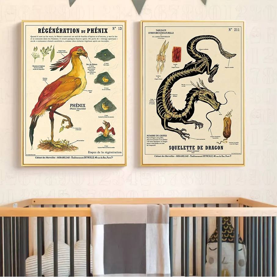 Vintage Phoenix Dragon Skeleton Unframed Canvas Print, Retro Scientific Illustration Wall Art, Animal Poster