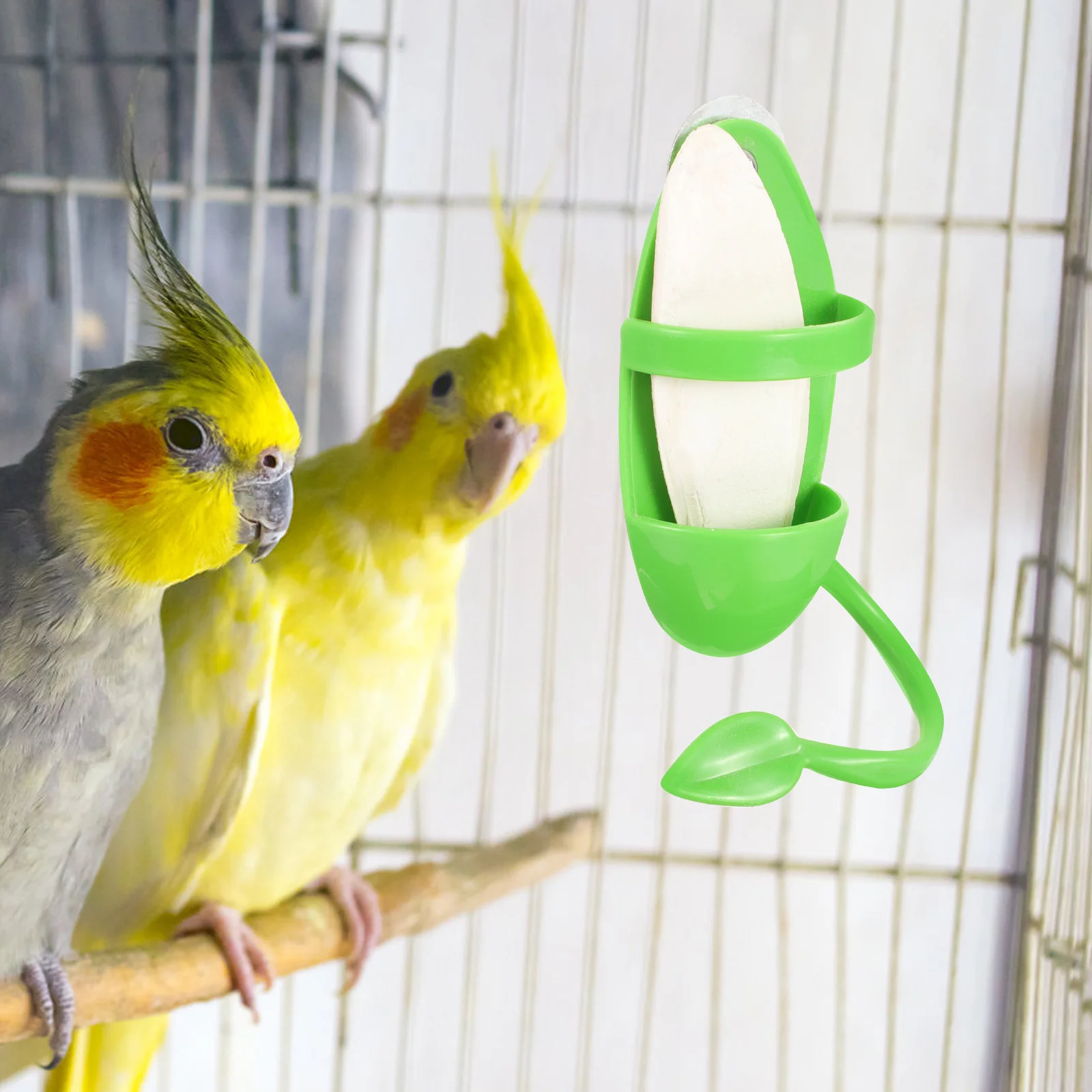 

1 set Bird Food Rack Pet Supplies Feeder Accessories Plastic Holder Parrot Cuttlefish Bone Bowls Cage Eating Container Vegetable