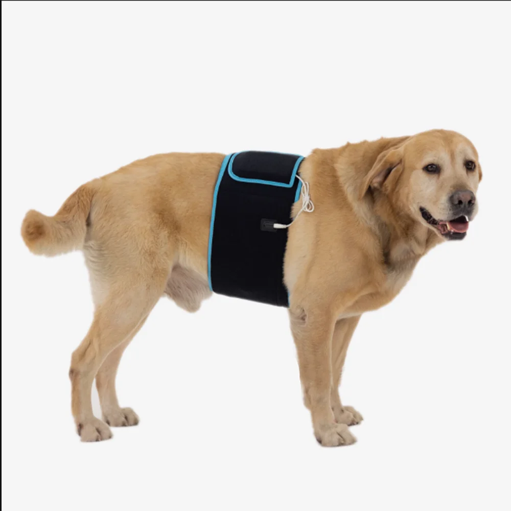 Pet Red Light Belt Cat  Dog Stomach Conditioning Phototherapy Infrared Heat Recovery Physiotherapy Pain Relief Abdominal Belt