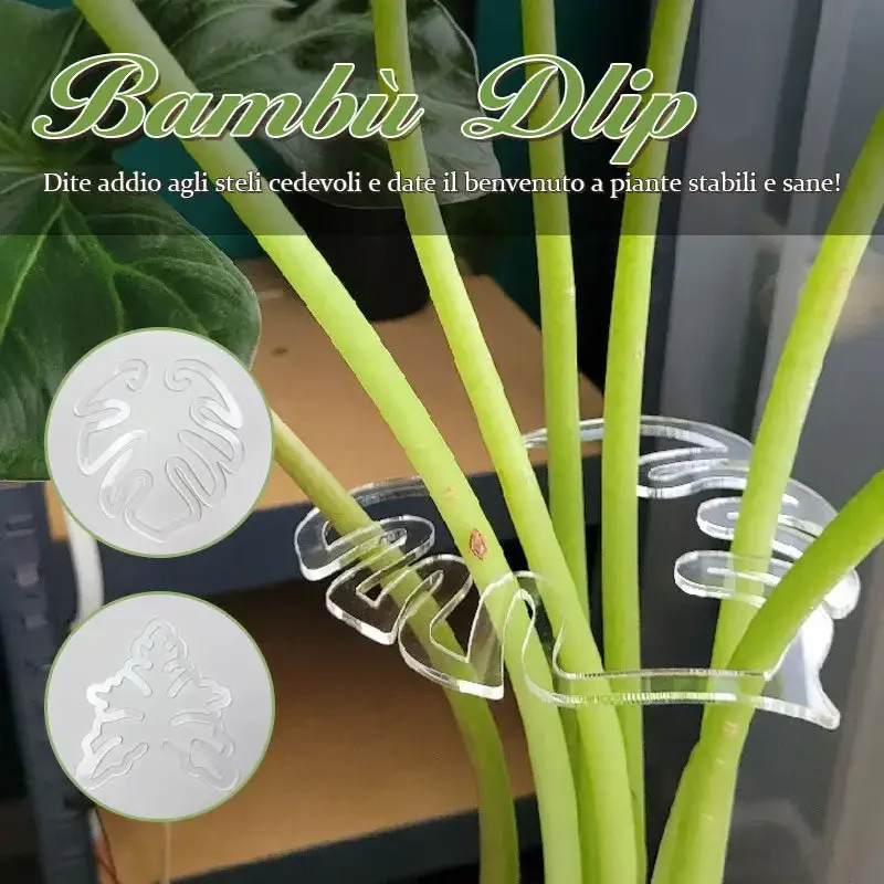 Monstera Grapple Turtle Shell Bamboo Clamp Set Plant Stem Plastic Support  Flower Stem Fixer Flower Type Leaves Holder - AliExpress 15