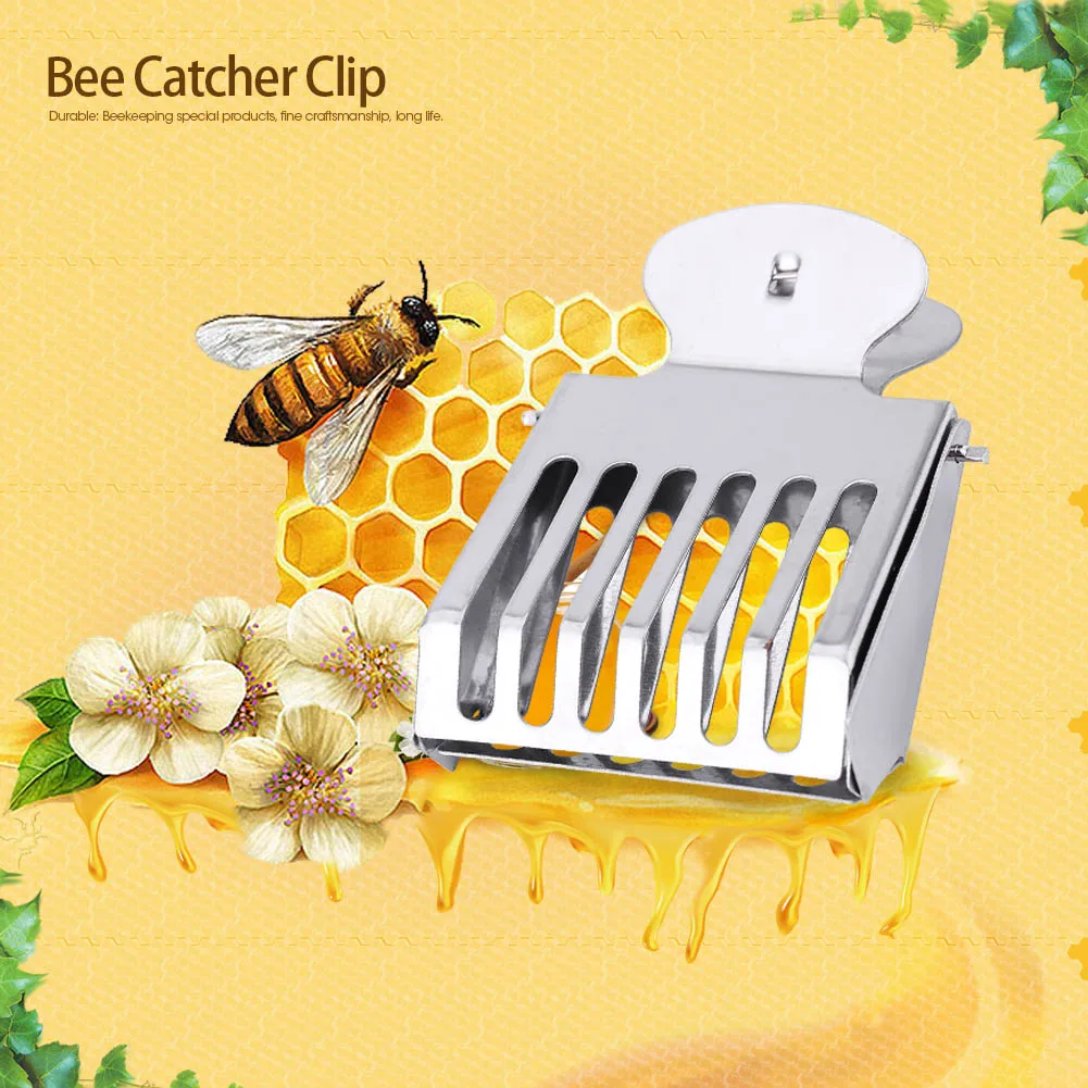 5PCS Metal Queen Bee Catcher Clip Cage Catching Tool Bijenteeltapparatuur Staal