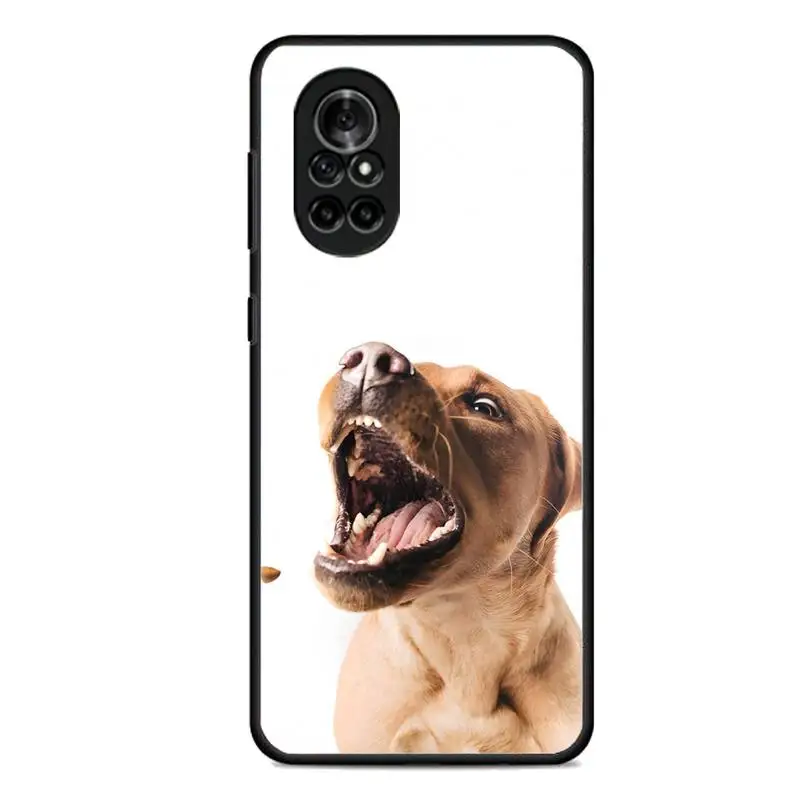 Labrador Dog Phone Case For Huawei Y9 Y7 Y5 Y6 Prime 2019 Y9s Mate 30 20 10 Lite 40 Pro Nova 5t Fundas Shell Cover