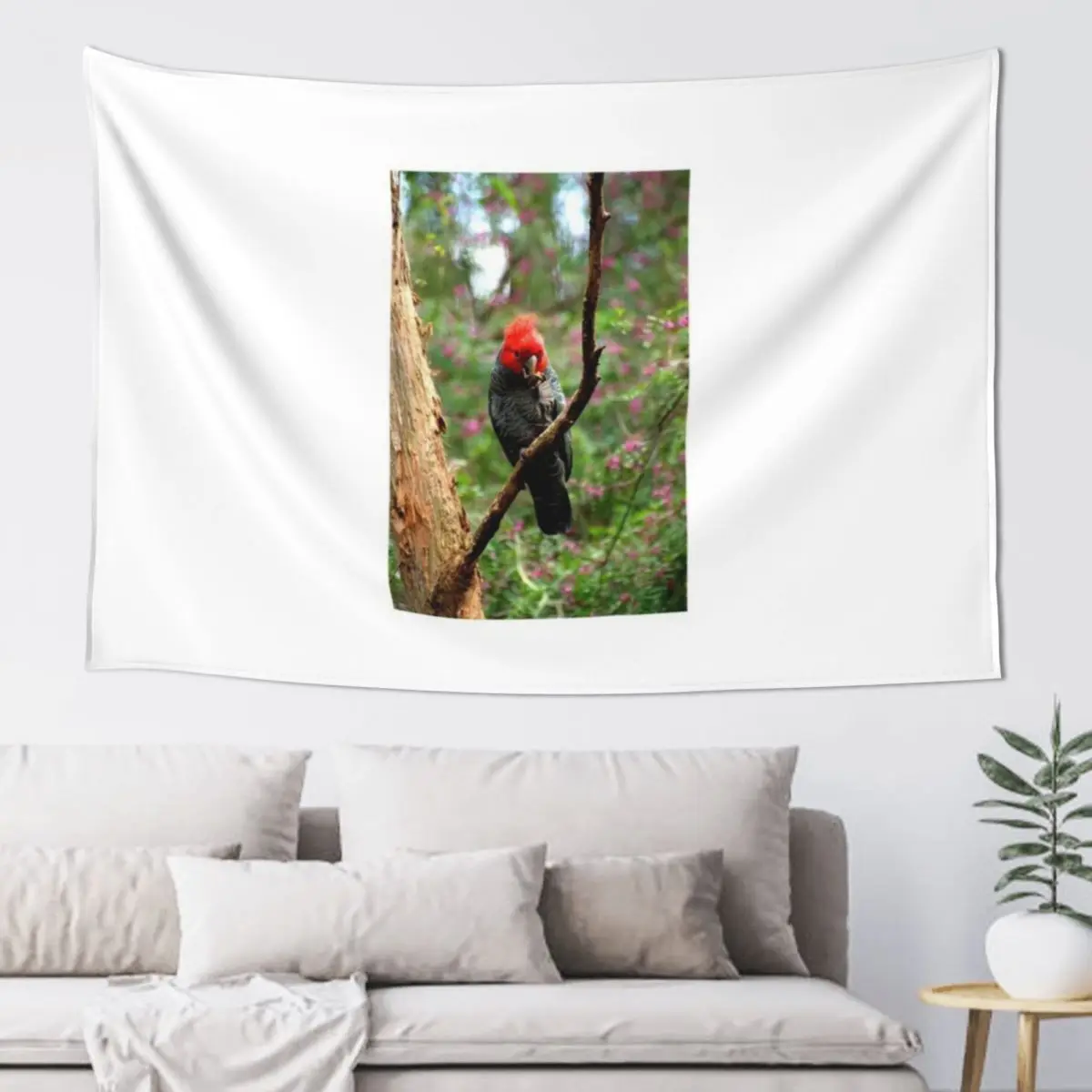 

Gang Gang Cockatoo Tapestry Wall Decorations Room Decorations Aesthetics Wall Art Wall Hanging Tapestry