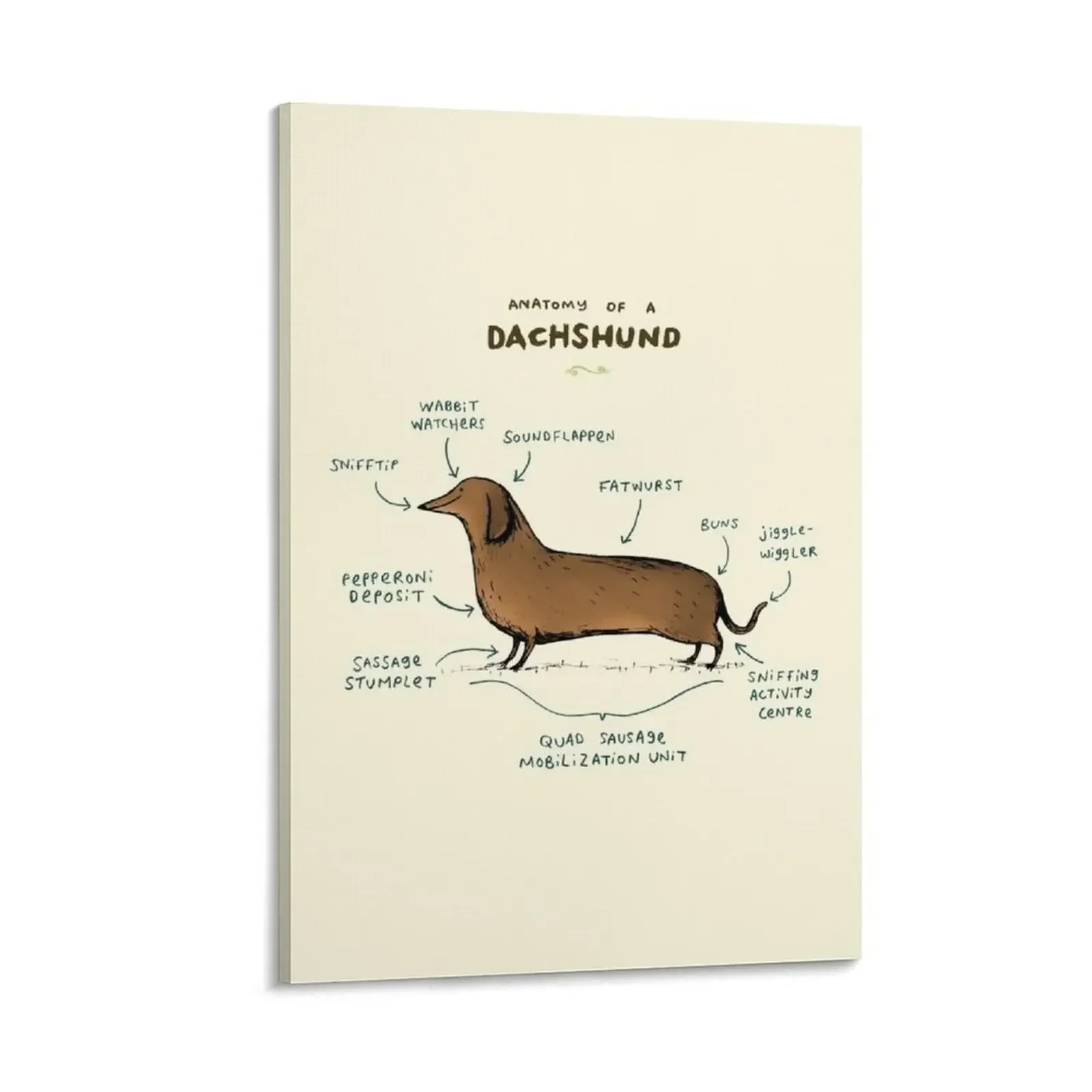 

Anatomy of a Dachshund Canvas Painting wallpapers home decor room decorations for men office decoration