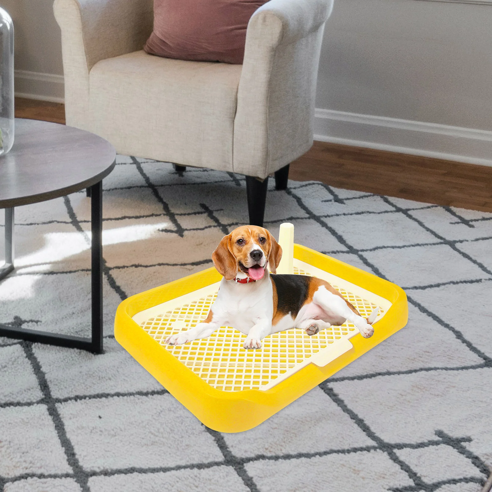 Dog Potty Tray Dog Toilet Training Pad Holder for Dogs Anti-Slide Litter Pee Tray Pet Supply dog potty tray