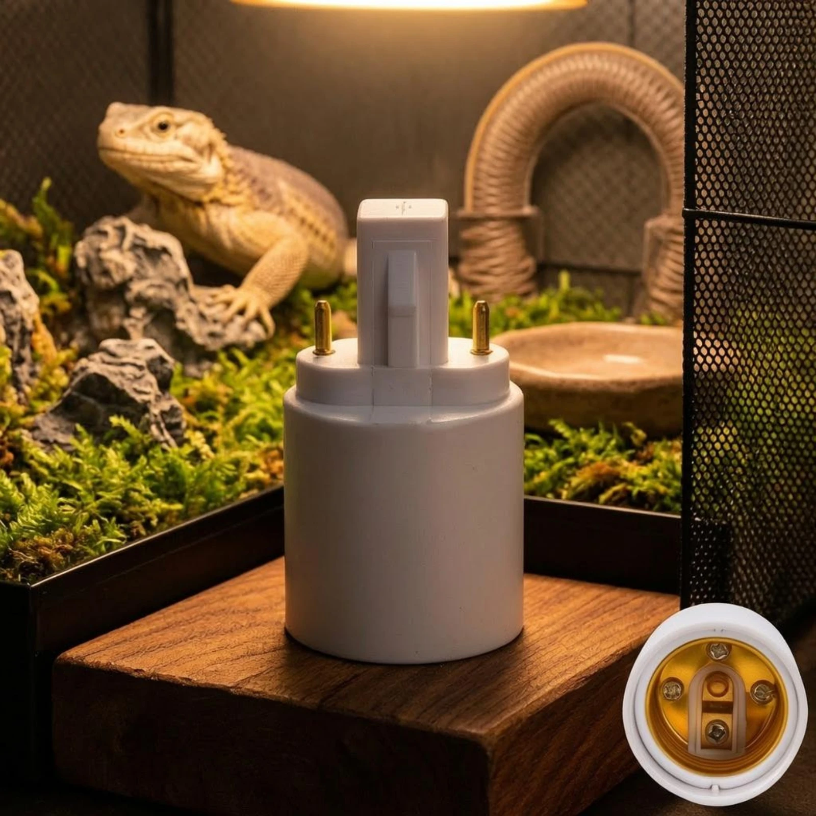 G23 to E27 Adapter Compact G23 E27 Adapter Light Bulb Socket Converter Works with LED Bulbs Lighting Accessory Flame Resistant