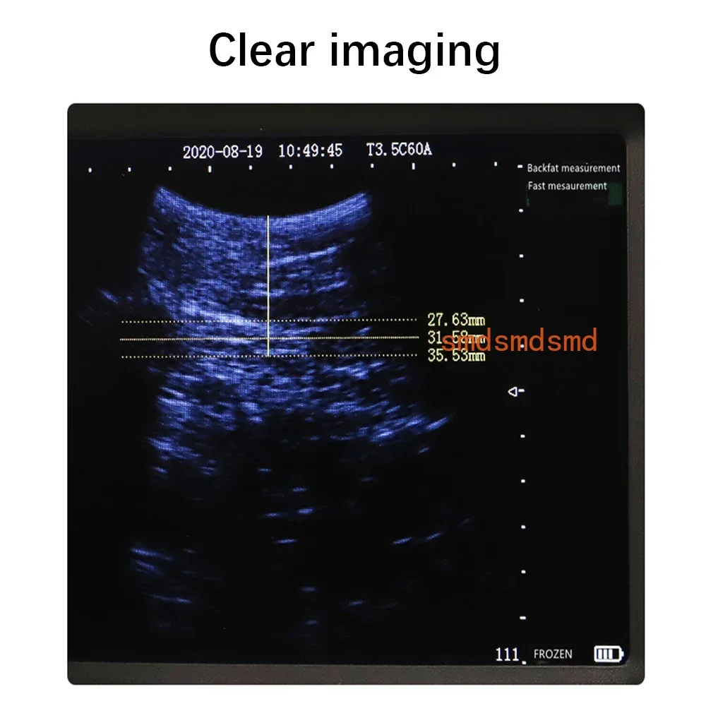5.6 Inch LED Screen Ultrasonic Portable Pigs Sheeps Dogs Diagnostic Machine for Animals Pet Veterinary Ultrasound Probe