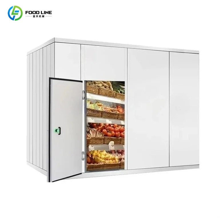 large walk-in freezer freezer storage at competitive prices for hotels Customized
