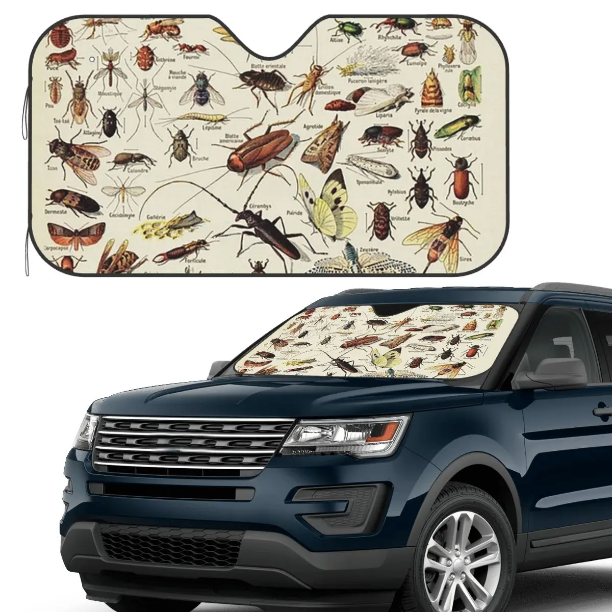 

Insects Chart. Scientific Illustration, Text In French Sunshade Windscreen Car Front Windshield Window Sun Visor Covers