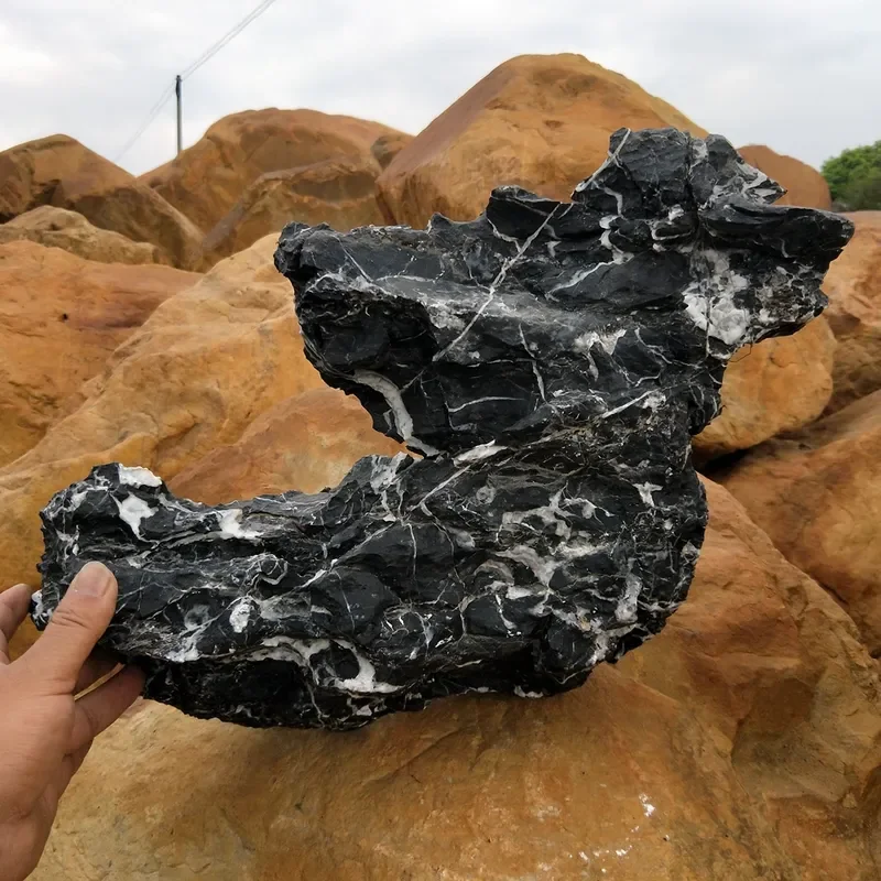 Black Decoration for Aquarium Accessories Water Features