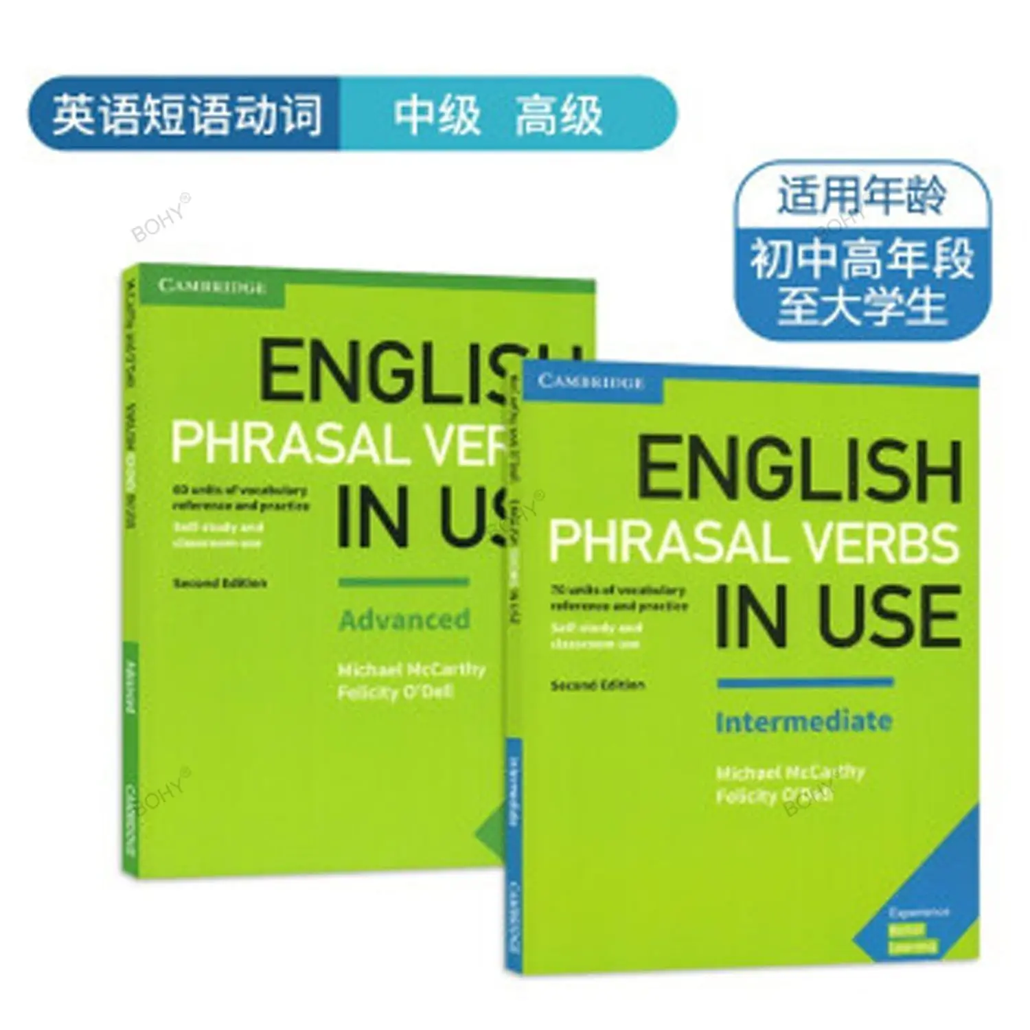 Imagem -05 - Inglês Ensino Livros Aprender um Bom Ajudante Cambridge Inglês Vocabulário Phrasal Verbos em Uso Expressões Idiomáticas e Colocação Libros