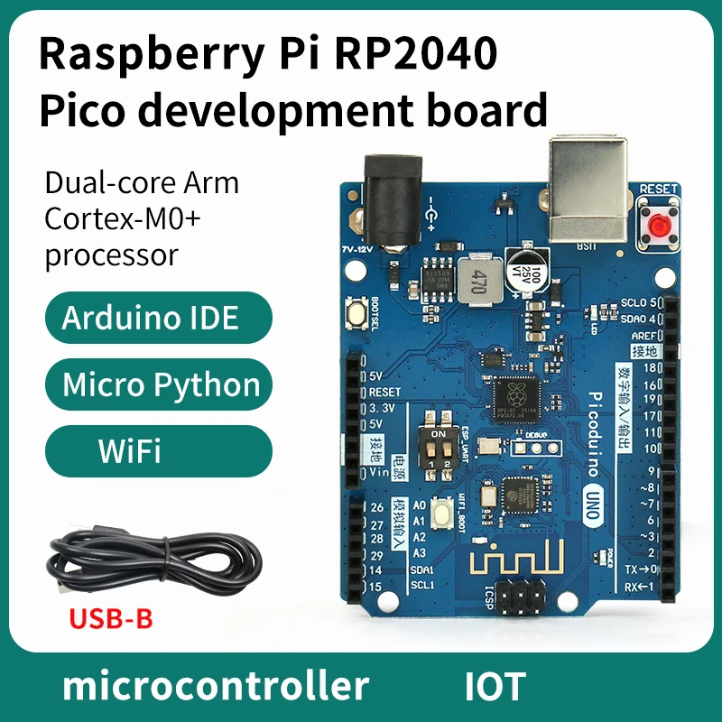 Raspberry PI RP2040 development board MicroPython programming iot development Pcio