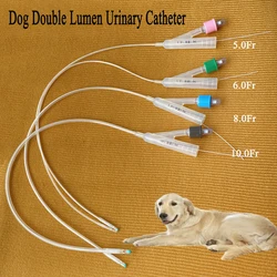 Professional Pet Dog 2-way Foley Bilateral Urinary Catheter Luer Urethral With Stylet Ballon Foley Side Open Clinic Supplies