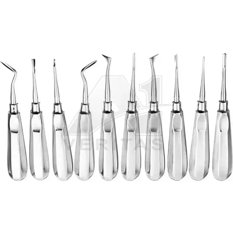 Hot Selling Orthodontic Surgery Dental Elevator Best Quality Wholesale Custom CE Certification Manual Level 1