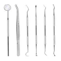 Stainless Steel Dental Tools Oral Care Set Endoscope Teeth Removal Endoscope Teeth Removal Calculus Removal Tartar Bag