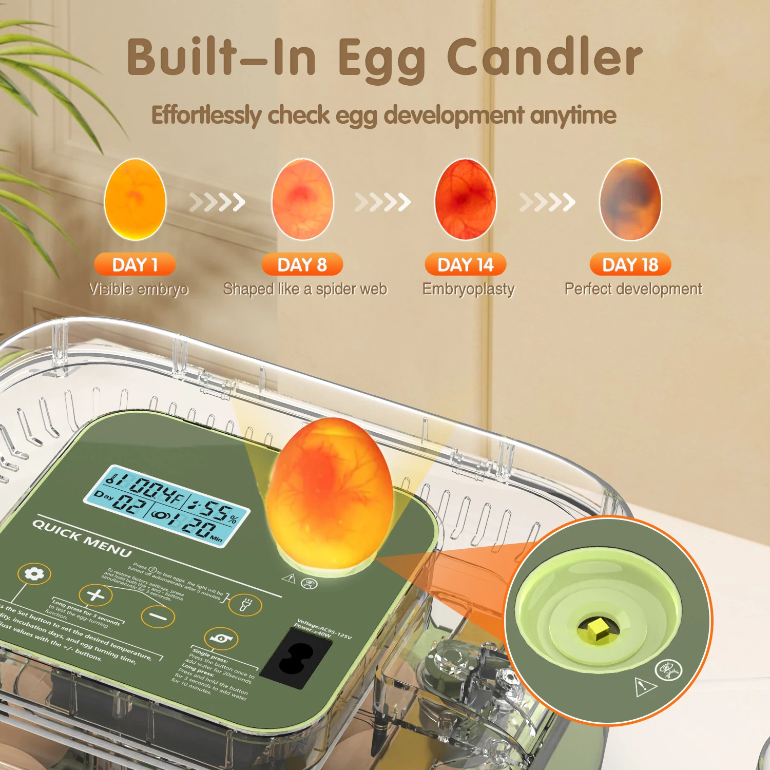 12 Eggs Incubator For Hatching Eggs, Temp And Humidity Control, 360°View Auto Water Adding, Egg Candler Egg Turning Countdown Ha