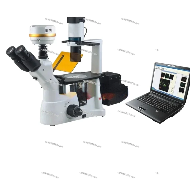 Laboratory Inverted Fluorescence Microscope