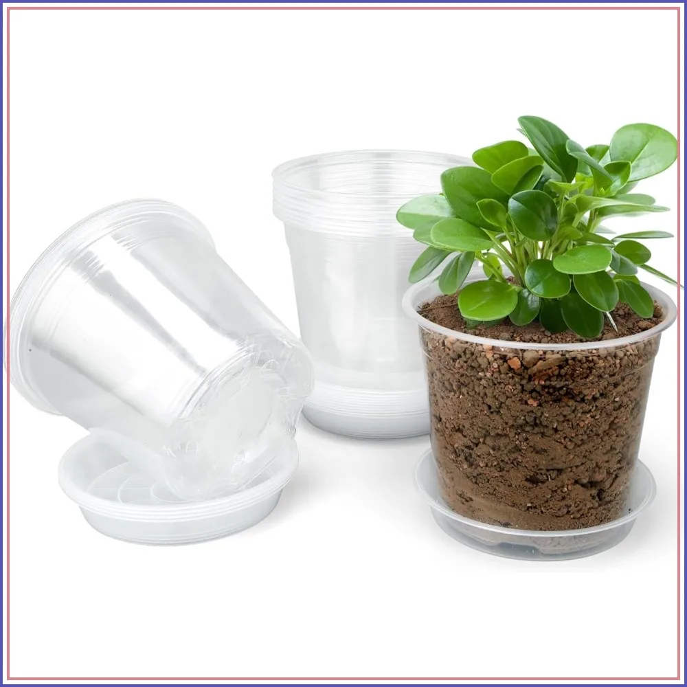 

15-Pack 4-Inch Clear Nursery Pots with Drainage Trays for Seed Starting, Succulents, Indoor Plants