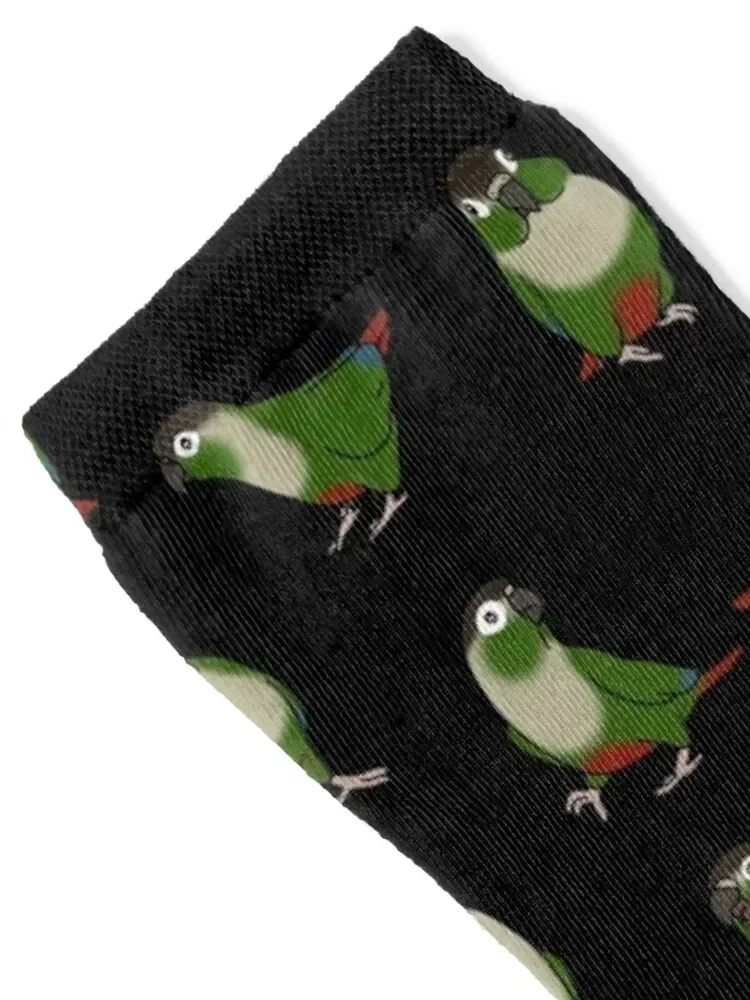 green cheeked conure doodle pattern Socks sheer football Socks Woman Men's