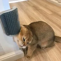 Corner Brush Massager - Cat Grooming Comb & Scratching Post, Space-Saving Multi-Functional Pet Supplies for Cats