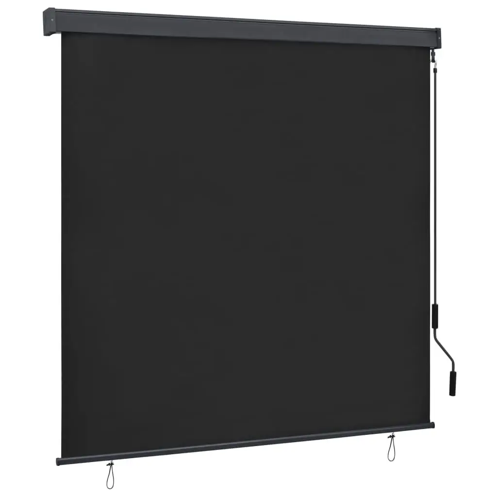 63x98.4 Anthracite Outdoor Roller Blind - UV Protection, Waterproof, Easy Installation