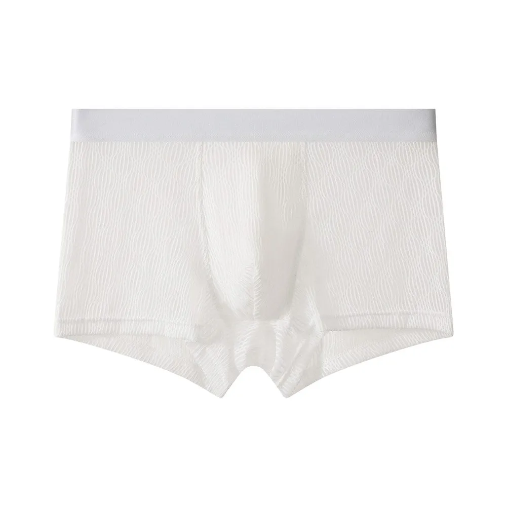 Ice Silk Mesh Underwear Men Boxer Breathable Texture Underpant Man Solid Mens Boxers Boxershorts Transparent Trunks