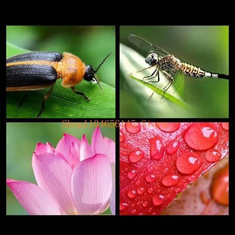 مجموعة عدسات ماكرو مزدوجة بزاوية واسعة جدًا 5asd تكبير 0.45x عدسة ماكرو متعددة الوظائف بزاوية واسعة للهواتف المحمولة #4