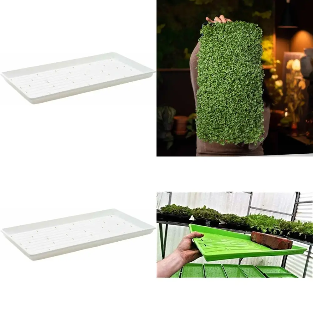 

Extra Strength White Microgreen Planting Trays, 1020 Count with Holes, 30 Packs for Seedling Growth
