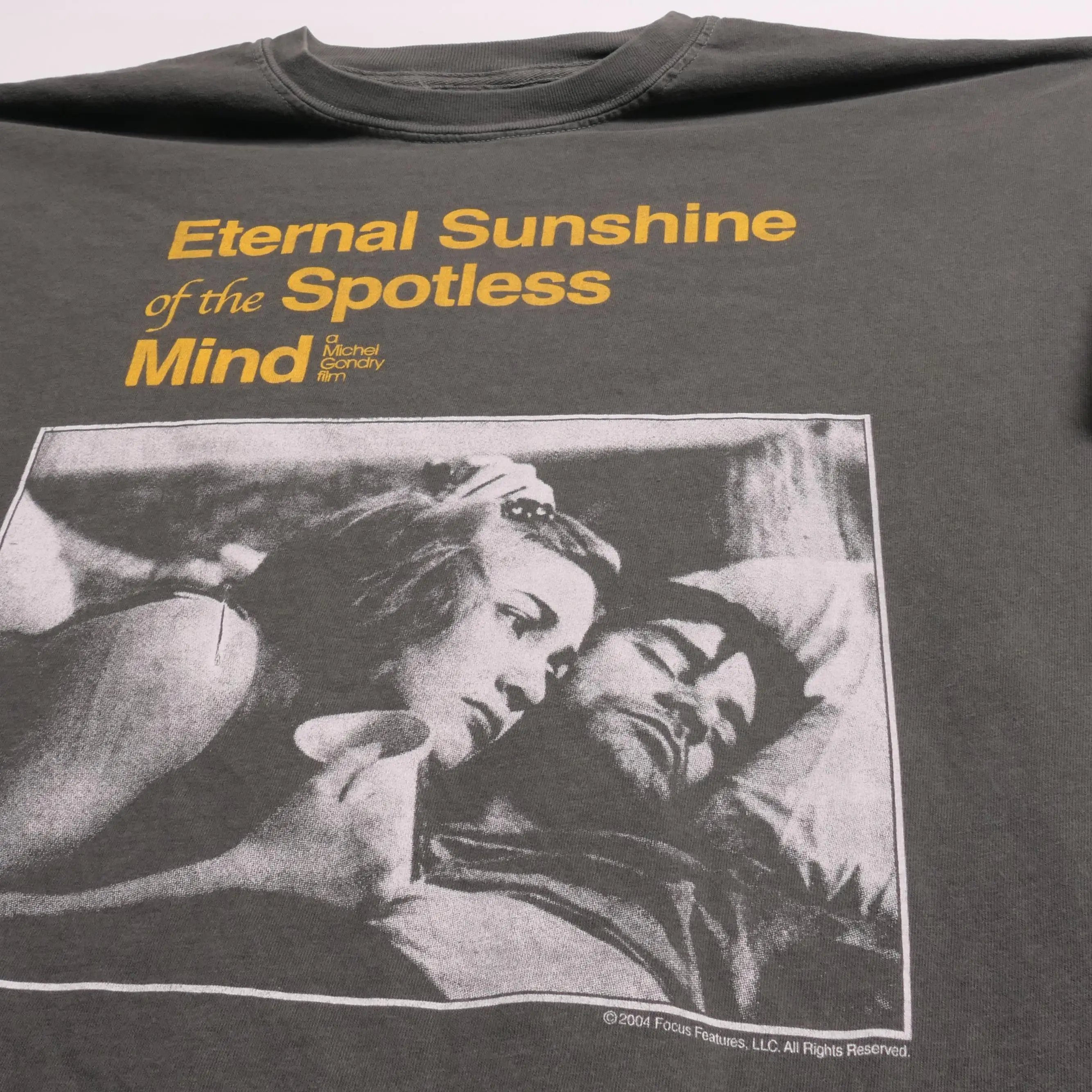 The Eternal Sunshine of A Beautiful Mind 