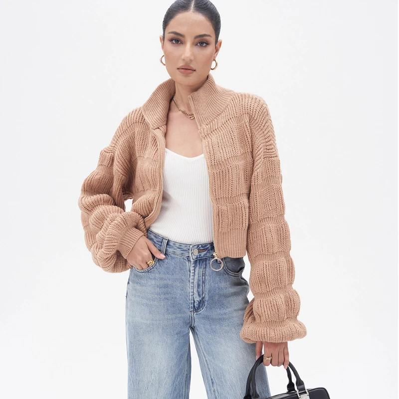 

Korean Chic Women's Zipper Knitted Sweater Short Loose Autumn Winter Casual Long Sleeve New Style High Collar Cardigan Outerwear