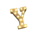 Y