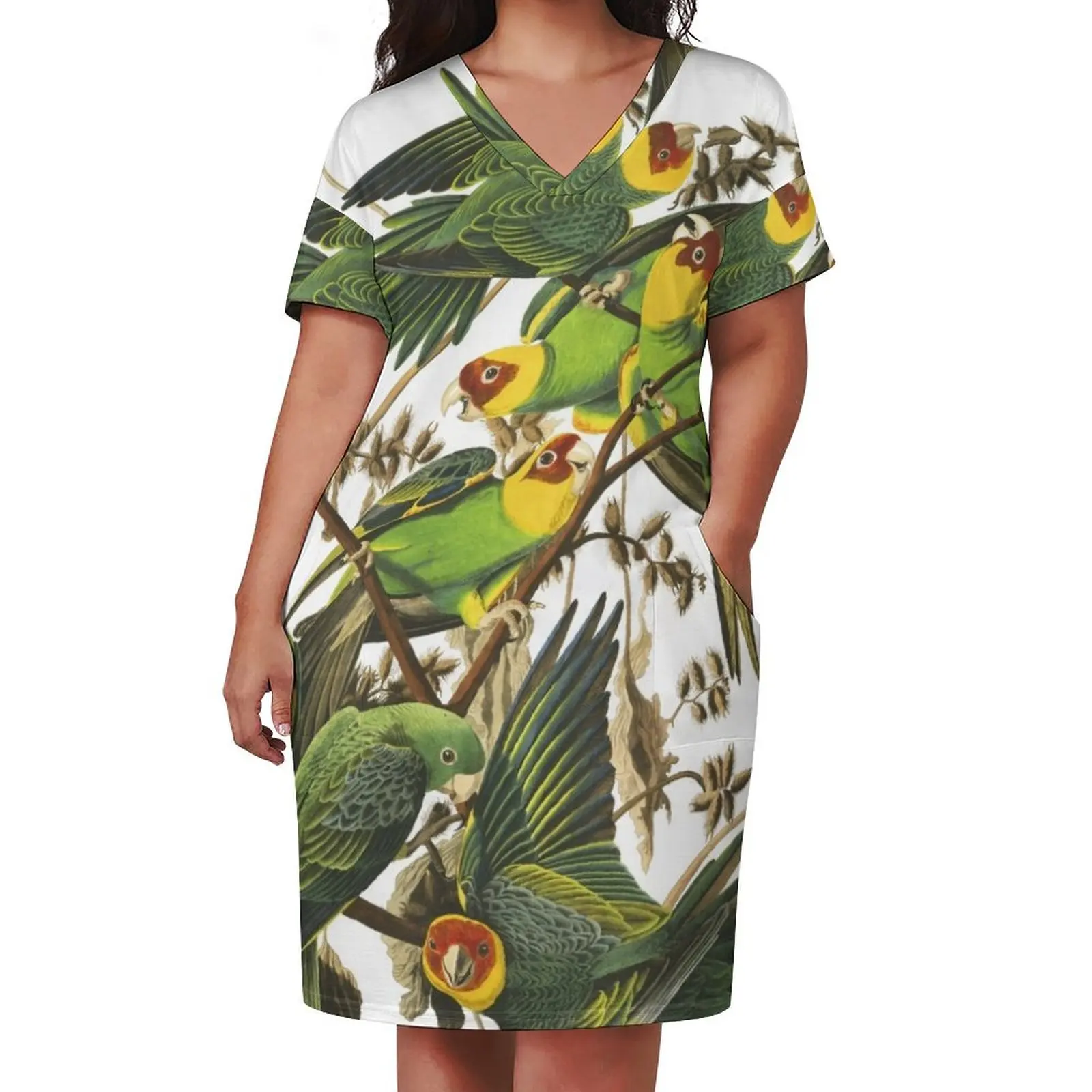 Carolina Parakeet - John James Audubon Loose Pocket Dress dress women summer 2025 Long dress