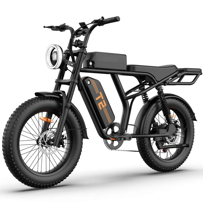 AliExpress URLIFE T2 adult E-bike 20-inch All-terrain fat tire E-Mountain bike 250W 48V 15.6Ah battery Electric Bike