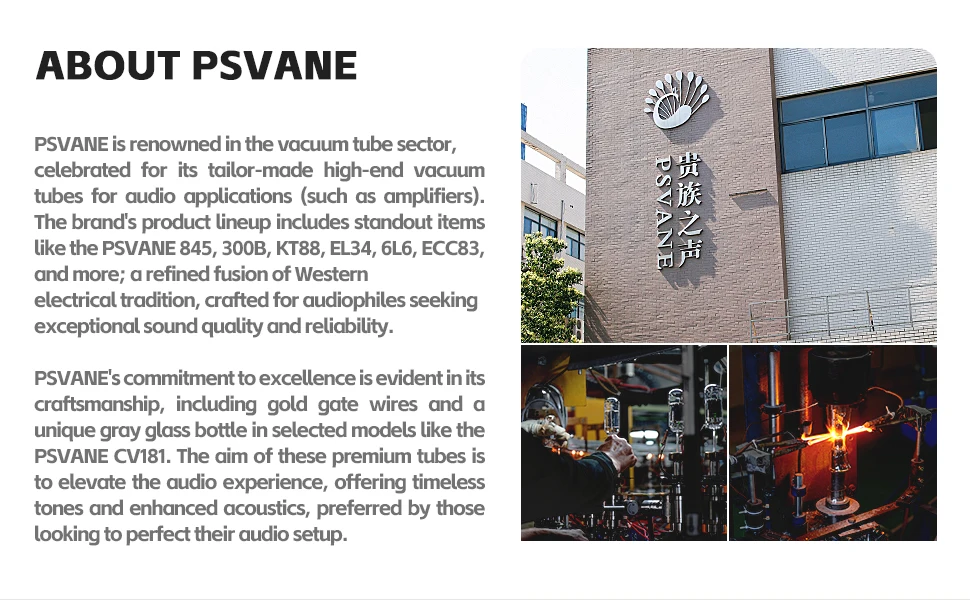 PSVANE Horizon 12AT7-AT / ECC81 Vakuumröhren-Verstärker Upgrade B739 6201 6J8P 6SJ7 EF86 HIFI Audio Elektronenröhre – Detail 7