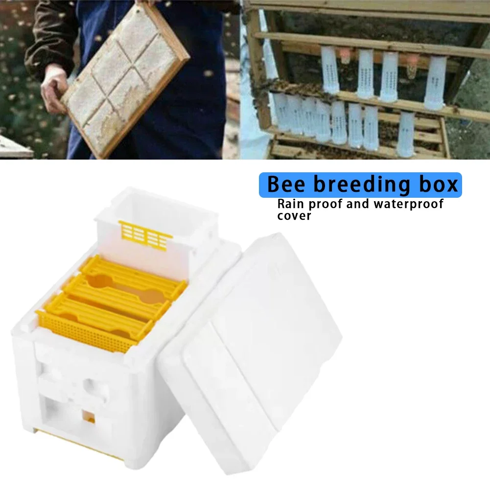 1Set Queen Bee Rearing Mating Beehive Beekeeping Tools Foam Beehives Nuc Harvest Pollination BeesHive Box Beekeeper