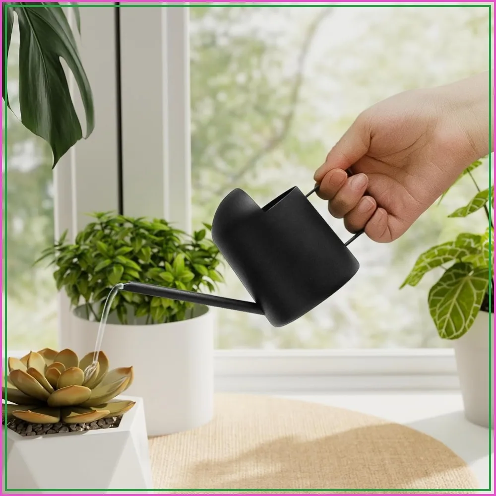 

Small Watering Can 10OZ Stainless Steel Long Spout for Indoor Outdoor Plants, Decorative Bonsai Bottle