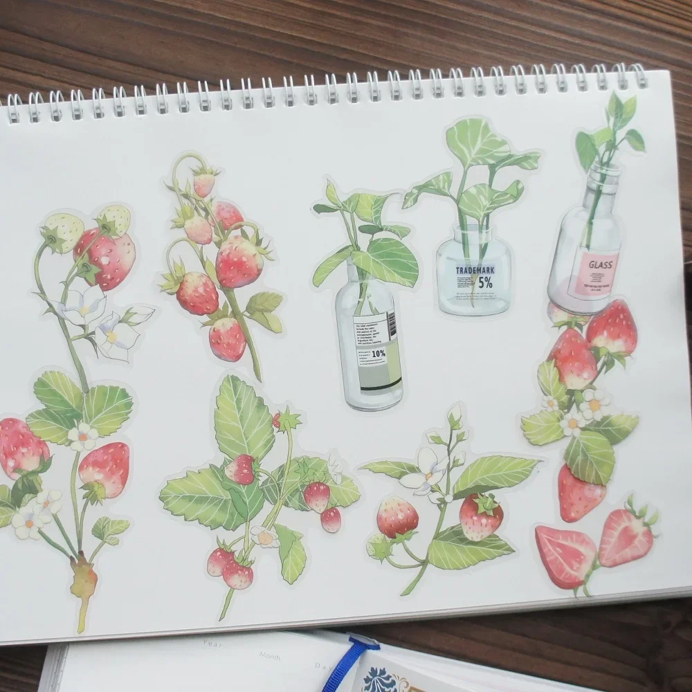 

10 Pcs Big Size Hydroponic Plant Strawberry Style PVC Transparent Sticker Scrapbooking DIY Gift Decoration Tag