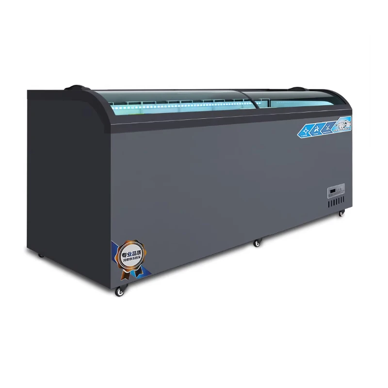 

Commercial Large Capacity Freezer Refrigerator Refrigerated Display Cabinet 0 ~ -28°C Transparent Glass Freezer Tank Customized