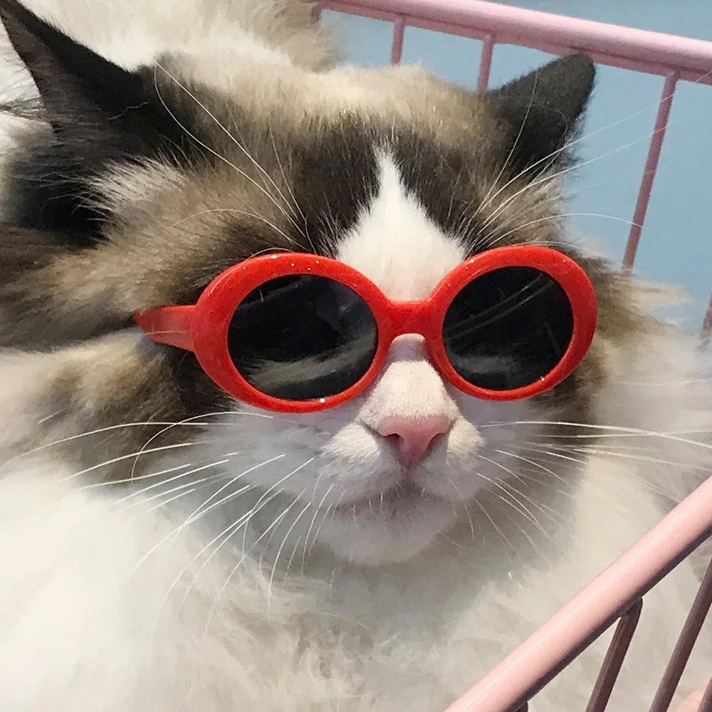 Pet Sunglasses Cat Model Love Glasses Fashionable Dog Beach Seaside Photo Sunglasses Cat Accessories Accesorios Para Gatos 선글라스