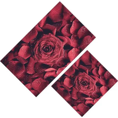 Cici Design Rose Petals Closet Takımı-60x100-50x60