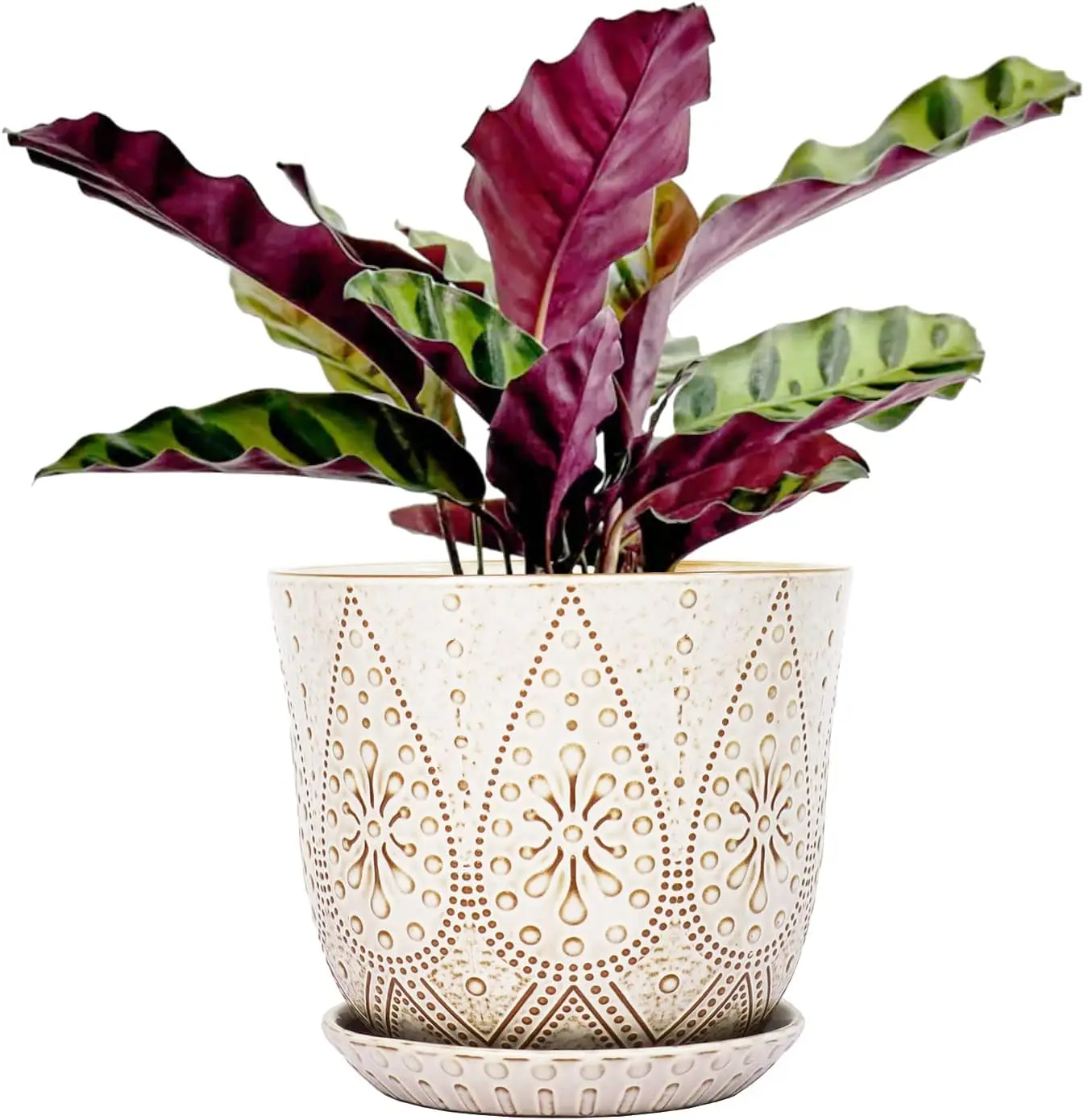 

8-дюймовое керамическое кашпо кремово-белого цвета с дренажными отверстиями и поддонами для комнатных и уличных растений