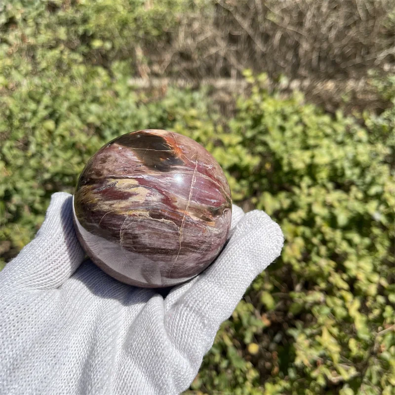 8cm Natural petrified wood ball wooden stone ball