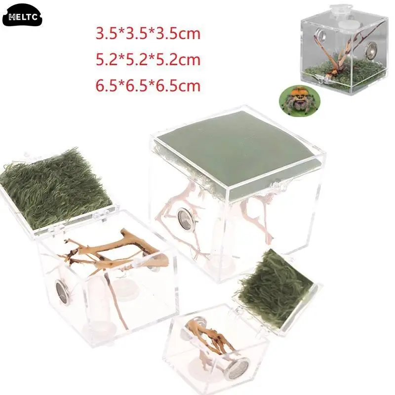 Acrílico Aranha Réptil Terrário, Insect Breeding Box, Insect Box, Cricket, Caracol, Tarântula Acessórios, S, M, L