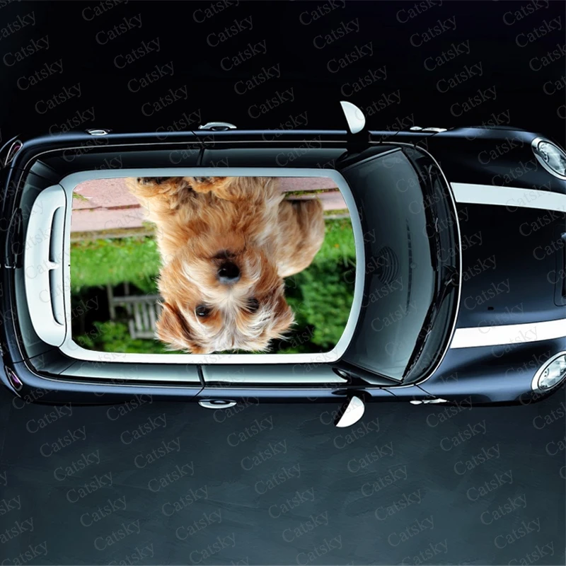 Norfolk Terrier animal Car roof sticker wrap racing SUV accessories packaging painting PVC car accessories graphic decals